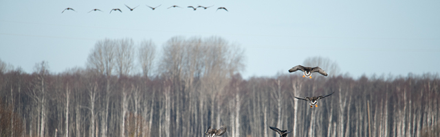 Kuhu minna, mida teha? Edasi kultuurisoovitusi – mai