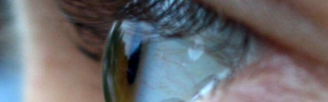 Hiinast leitud fossiilid näitavad, et inimkonna kaugetel eellastel oli neli silma