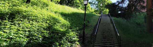 Tartu rohealad muutuvad: kuidas suhtuvad sellesse elanikud?