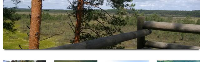 Viimsi uue üldplaneeringu teeb 556 800 euro eest OÜ Kobras