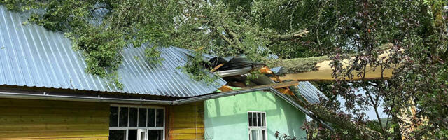 Rõuge vallas palutakse abi tormikahjustatud kodu taastamiseks