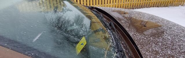 LUGEJA KIRJUTAB | Kuidas ma Prisma ees kontrolöri käest „sõbrapäevakingituse“ sain?