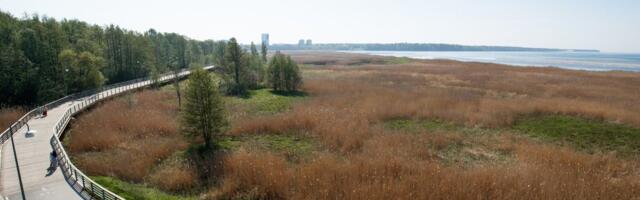 Rannaniidul tegutsev võimas harvester pani jalutajaid muretsema: nägime pesadest põgenevaid rebaseid, kurgi, mäkrasid