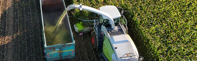 Jõulukink, mida kliimahüsteerikud ei suuda taluda