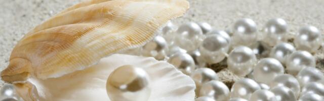 Eksootiline Tahiti horoskoop: uuri, milline lill või pärl sind Polüneesia sodiaagis sümboliseerib