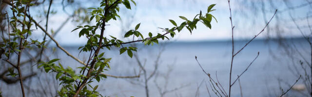 Ilm läheb lähipäevil aina jahedamaks