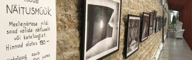 Mäetaguse mõisahotelli galeriis saab osta eriskummalist kunsti