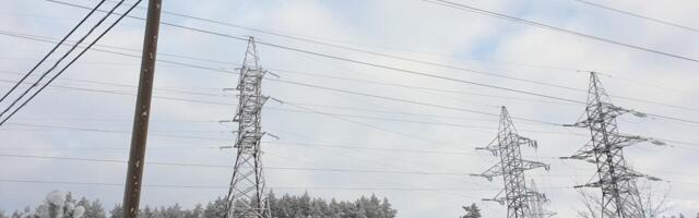 PIMEDUSEGA LÖÖDUD: viletsate elektriliinide ohvritest Eesti Energia eriraportis vaikitakse