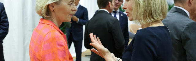 Kaja Kallase toetajad ja vastased europarlamendis