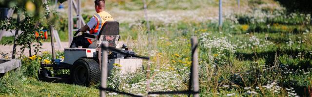 Kvaliteetne avalik ruum digikaksikust