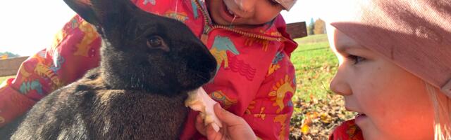 Mart Kase: novembri alguse võnked