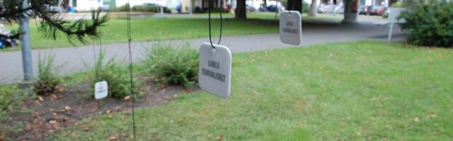 Paikusel saab jõulupuust helkuripuu