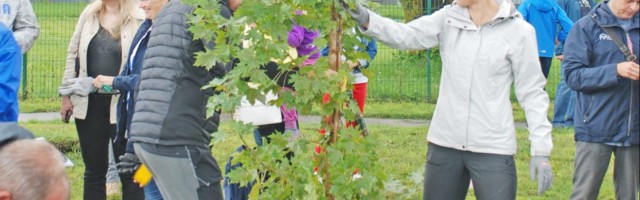 Paldiskisse kasvamas Bellingshauseni park