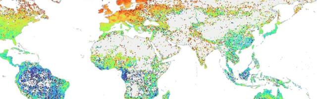 Yiming Meng kaitseb doktoritööd „Plant mycorrhizal type and status in the global flora“