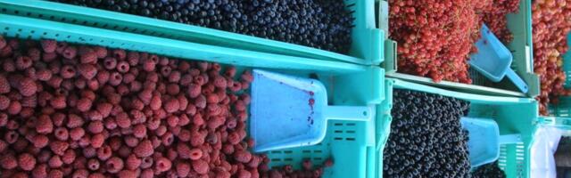 TOP 10 | Maksuvõlglased jae- ja hulgikaubanduses “Covidi kriisilaen ja riigi jäikus viisid firma põhja”