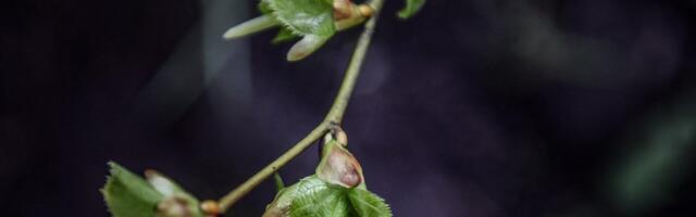 PÄEVAHOROSKOOP: esmaspäev, 28. aprill