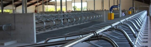 Põllumehed küsisid miljoneid keskkonnatoetust