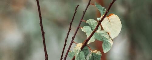 Täna tähistatakse rahvusvahelist kehalise karistamise lõpetamise päeva