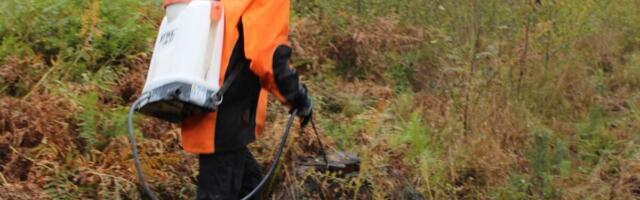 Metsameetme toetuse abil tahavad kõige enam hoolduraieid teha Viljandimaa metsaomanikud