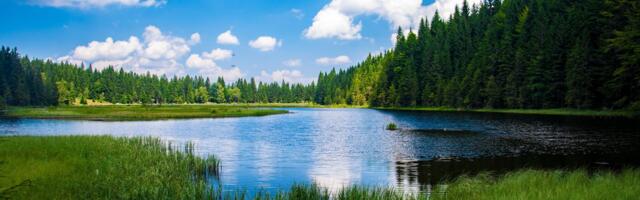 Tammiste paisjärve seisundit hakatakse hindama