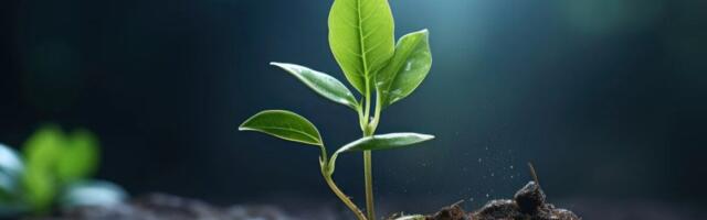 Suur tööturu probleem võiks saada lahenduse – kui tööandjatel oleks ressursse