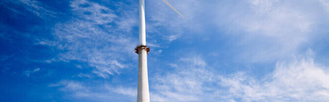 Верховный суд Германии отклонил жалобу производителей возобновляемой энергии