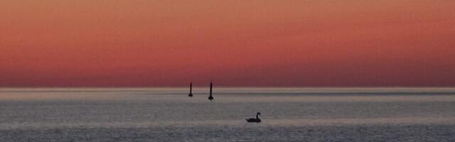 ILUSAD EESTI NIMED | Selgusid aasta parimad eestikeelsed ettevõttenimed