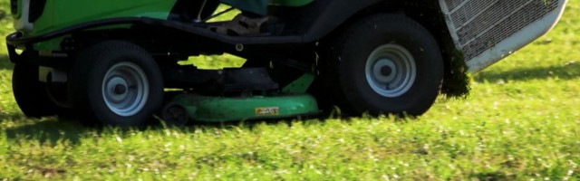 Reporter: Tallinnas uppus Löwenruh pargis muru niitnud mees