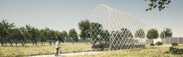 Võisteldes parema ruumi poole