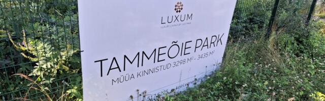 Viimsi vallavalitsus tasub Märt Vooglaidi firmale 45 000 eurot