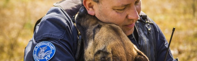 Politsei- ja piirivalveameti koerad on tänavu võimsat tööd teinud