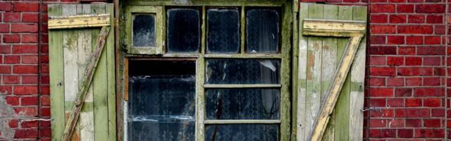 Varjupaikade MTÜ: Eesti riigis ei tohiks olla sellist nähtust nagu ilma omanikuta kass