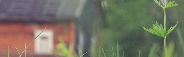 Päevahoroskoop : kolmapäev, 6. august