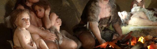 Miks on X-kromosoomides vähem neandertallase geene? Vastus peitub liikide paaritumismustrites