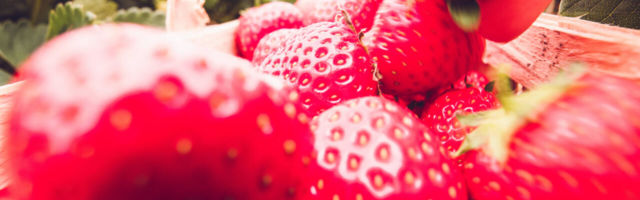 Jälle need maasikad: kas marjad jäävad põllule töökäte vähesuse või hoopis soodsast varasuvest tekkinud ülekülluse tõttu, millele mõjus laastavalt jaanijärgne vihmaperiood