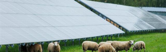 Kuidas asetub rohepööre inimeste igapäevaellu?