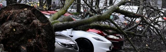 MONSTRUOZNI VETAR RUŠIO KROVOVE I ČUPAO STABLA, IMA I POVREĐENIH! Stanovnici dobili SMS poruke da obavezno OSTANU KOD KUĆE