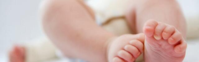 Vastsündinu seedetrakti mikrobioota ja selle kujunemine