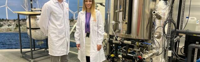 Doktorandid ühitavad uurimistööd praktikaga ettevõttes