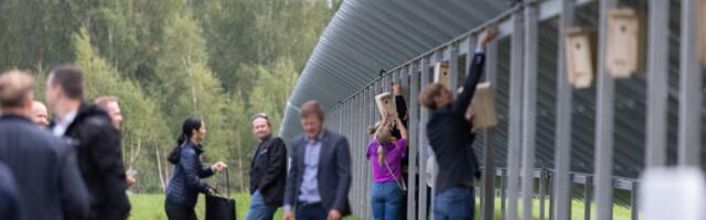 Põlvamaal alustas tööd kaheksa miljonit eurot maksev päikesepark