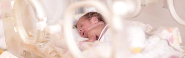 FDA nõustajad arutavad kunstemaka loomise võimalusi