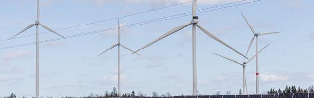 Miks on elekter praegu soodne? Eksperdid selgitavad hinnalanguse tagamaid