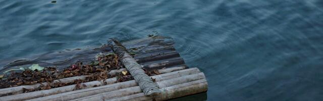 Kurepalu järvest eemaldati ohtlikuks muutunud parv