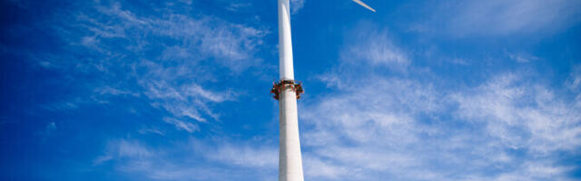 Leedu energiaettevõtte tahab Matsalu rahvuspargi juurde rajada tuulepargi