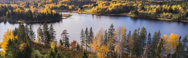 ILMATEADE | Suvesoojus tuleb tagasi? Järgnevatel päevadel tõuseb õhutemperatuur 23 kraadini