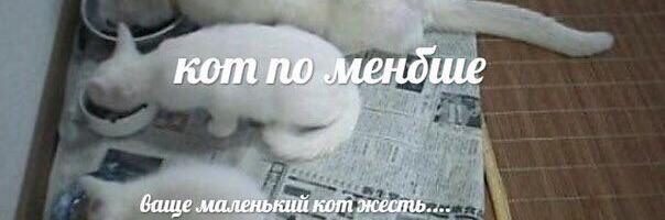 SAFe, платформенные команды и ИИ в разработке: как устроен IT в MANGO OFFICE