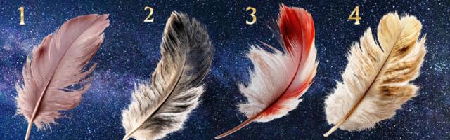 Isiksusetest: vali üks sulg ja vaata, mida see paljastab sinu emotsionaalse maailma kohta