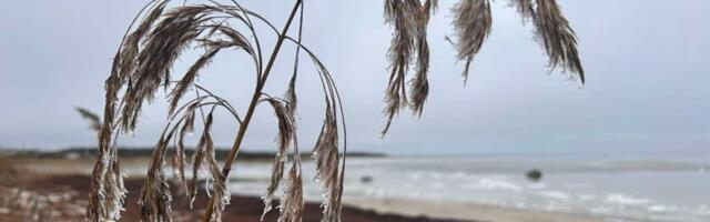 AHTO ILMAJUTUD | Esialgu kestab ilm soojapoolsena