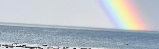 Galina Elmik NÄDALA FOTO