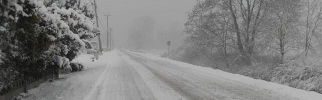 Transpordiamet hoiatab: hilisõhtul algav lumesadu muudab teeolud väga keeruliseks
